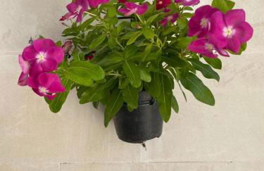 A piedi scalzi sullo Stretto 2 - Foto 43