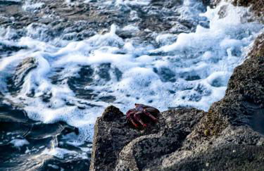 Rooftop Casa El Banco - Foto 36