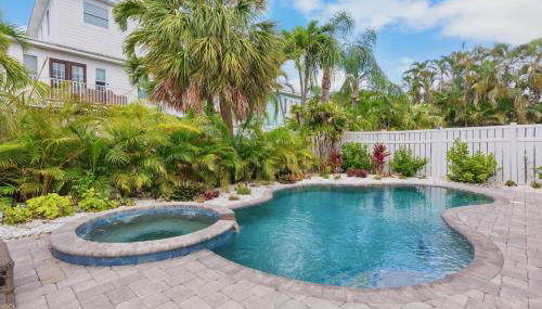 Sand Dollar (AMIA) - Foto 3