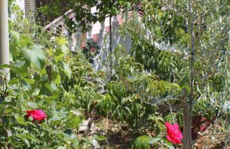 Apartment Verunic 8104a - Foto 12