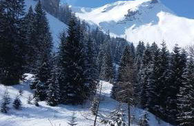 Ferienwohnung mit wundervollen Bergblick & E-Auto Ladestation - Foto 35