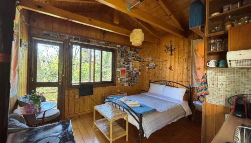 Η Χαρούμενη Αρκούδα - Foto 2