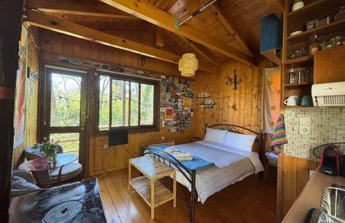 Η Χαρούμενη Αρκούδα - Foto 2