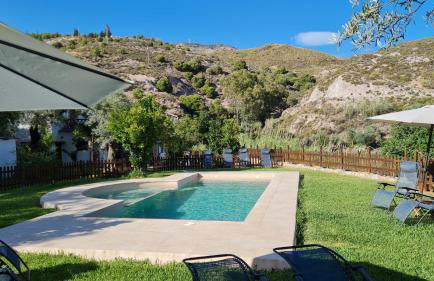 Tropical Studio - Foto 40