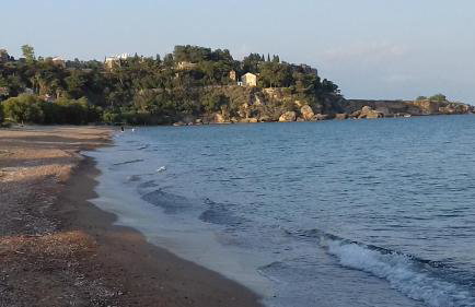 Margarita House - Photo 59