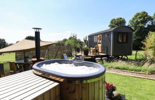 Limetree Luxury Glamping Southdown - Foto 12