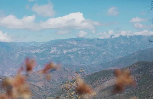 Spacious 4-bedroom cabin on secluded private land - Foto 29