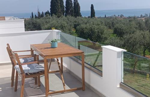 Blue & Green - Foto 18