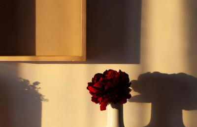 LA TERRAZZA DI PUGLIA - Foto 24