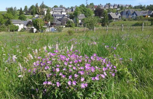 Ferienwohnung mit Gartenterrasse in der Nähe vieler Wanderwege und Ausflugsziele - Foto 21