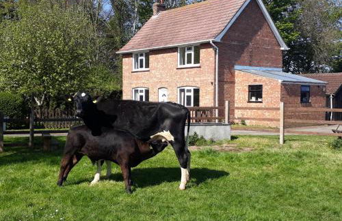 Church Farm, Legbourne Louth - Foto 3