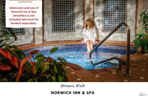 Luxury Villa- 3 mins to Mohegan- Fully Stocked with Fireplace- Jacuzzi, Saltwater Pools, Sauna - Foto 19