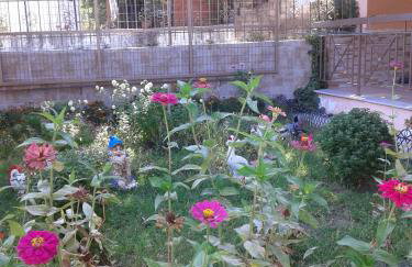 Guesthouse Adonis - Foto 75