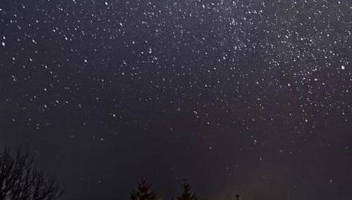 Wildflower Eco Lodges - Foto 5