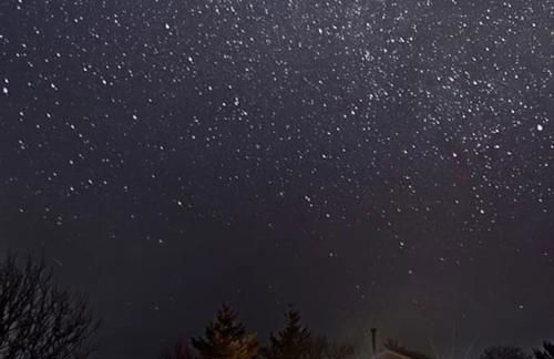 Wildflower Eco Lodges - Foto 5