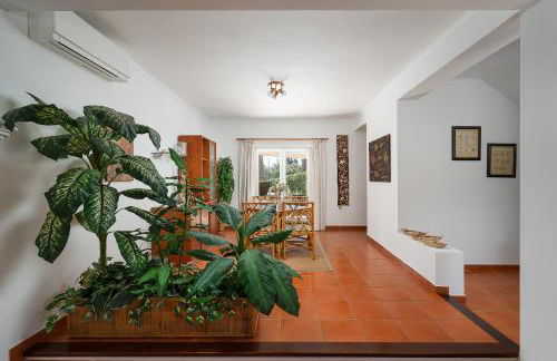 Villa Mateus - Foto 5