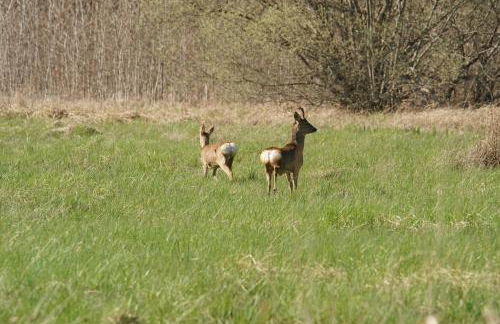 Gîte à la campagne groupe et famille 3 chambres Espace Jacuzzi hammam SPA - Photo 31