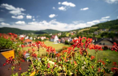 Apartamenty Black Lion - Foto 55