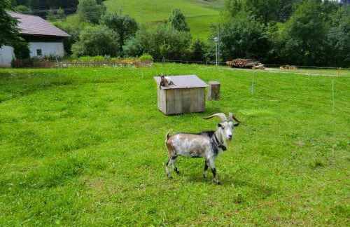 Ferienwohnung Grüntenpanorama im Jägerwinkl Allgäu - Foto 31