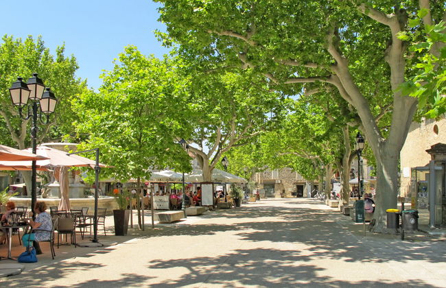 Odalys Référence Le Mas des Alpilles - Foto 19