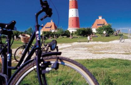 Sahneschnittchen - Foto 10