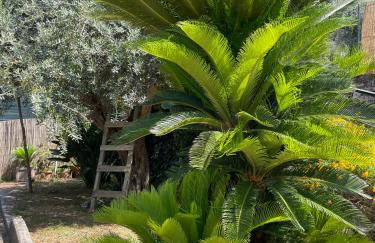 Villa Rosmary - Foto 74