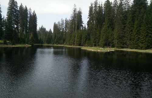 Apartmany JaJ-Bavorsko - Foto 34