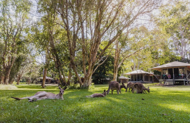 Habitat Noosa - Foto 58