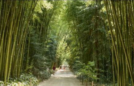 Tiny house cosy - Foto 27