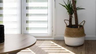 Chartres - Le Saint Pierre - Foto 5