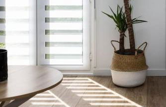 Chartres - Le Saint Pierre - Foto 5