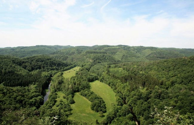 Eifel Farmhouse Comfortable Holiday Residence - Photo 13