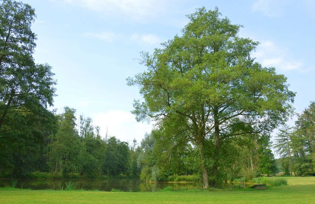 Marchin Castle With Sauna - Foto 36