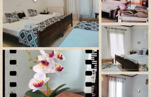 Hotel Alexandra - Foto 56