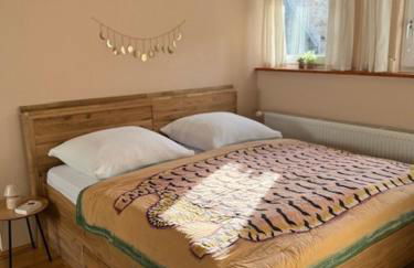 Residenz zu Caub - Pfalzgrafenstein Appartment - Foto 2