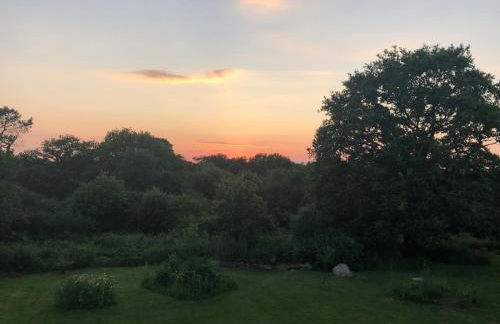 L'océan à la campagne - Foto 6