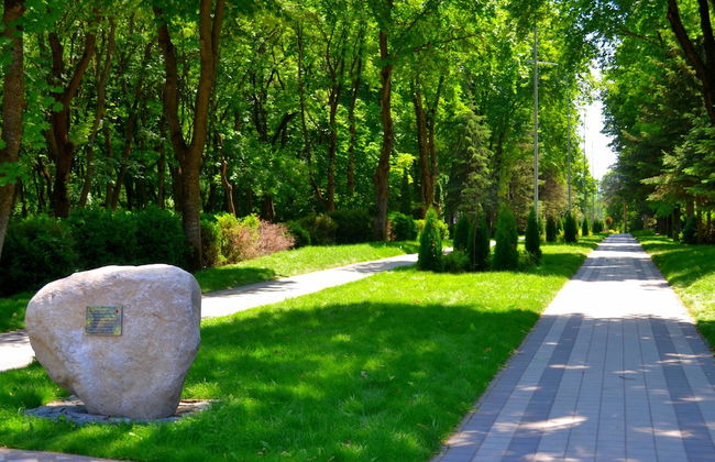 Apartments Park & House 8 - Photo 28