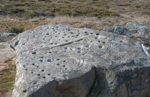 La casa de Rosa - Foto 67