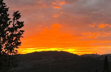 La Limonaia di Vanna - Foto 28