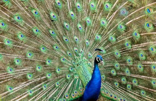 agriturismo u zu peppino - Foto 17