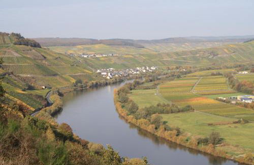 Ferienwohnung Mosella - Foto 10