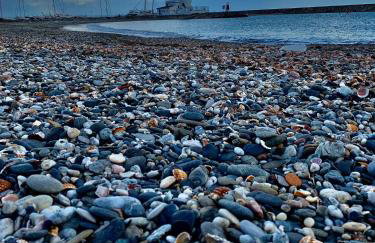 SEA & CASTILLO VIEW - Foto 11