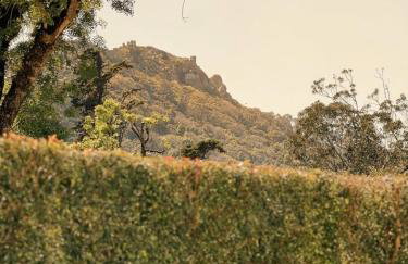 A Capela - A Essência de Sintra - Photo 29