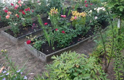 Gästehaus am Teich - Foto 51