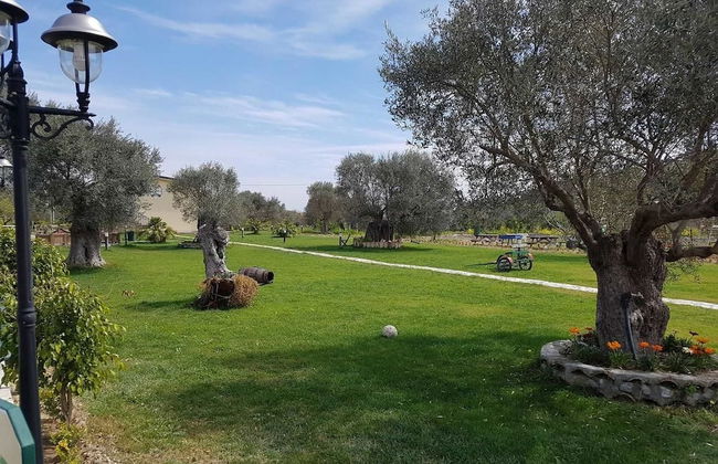 Agriturismo Donna Beatrice - Photo 12