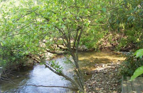 Treetops Cabin-Peaceful 1BR 20-Acre Rural Retreat-HotTub-WiFi-Near Asheville - Foto 7