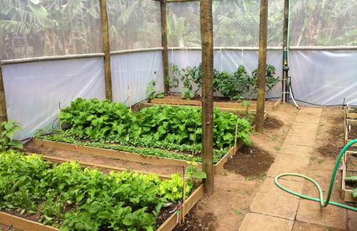 Quinta de Santa Clara - Photo 82