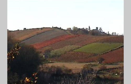 Casa intera tra le colline e le vigne del Dolcetto - Foto 35
