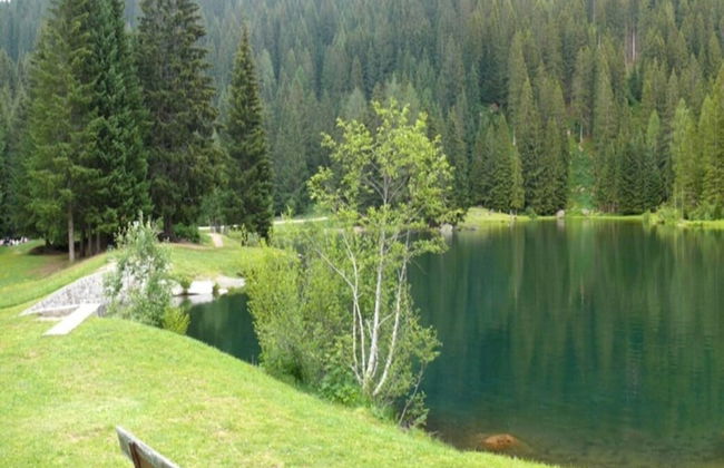 Apartment in Pellizzano - Photo 25