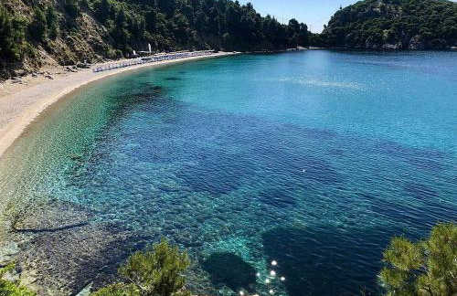 Dimitra's House - Foto 33